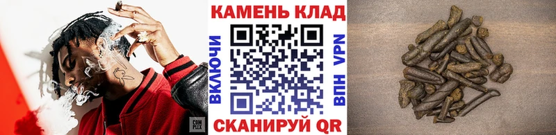 ГАШ гарик наркотики Пионерский