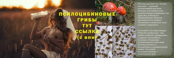 прущий лед Богородицк