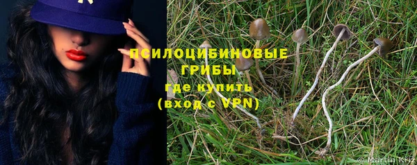 тгк Богородск