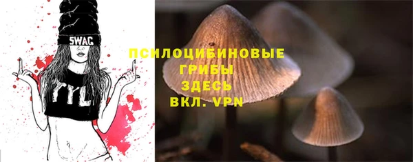 тгк Богородск