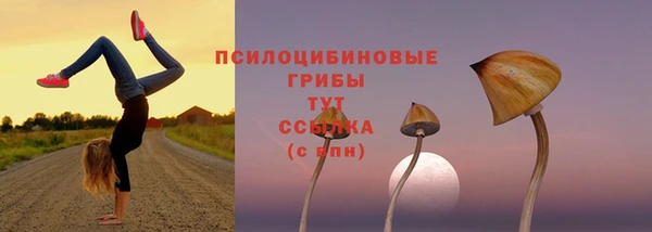 тгк Богородск